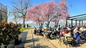 A cozy cafe terrace on the Dorcol waterfront promenade, located right in front of the Milan Gale Muskatirovic swimming pool complex, with a panoramic view of the Danube River in Belgrade.